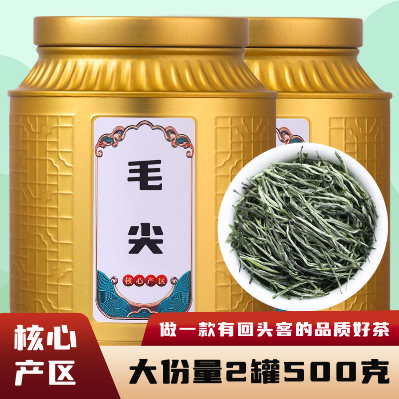 毛尖茶2023新茶叶明前春茶嫩芽散装礼盒装绿茶罐装500g